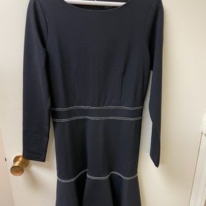 NWT Ann Taylor Skater Dress